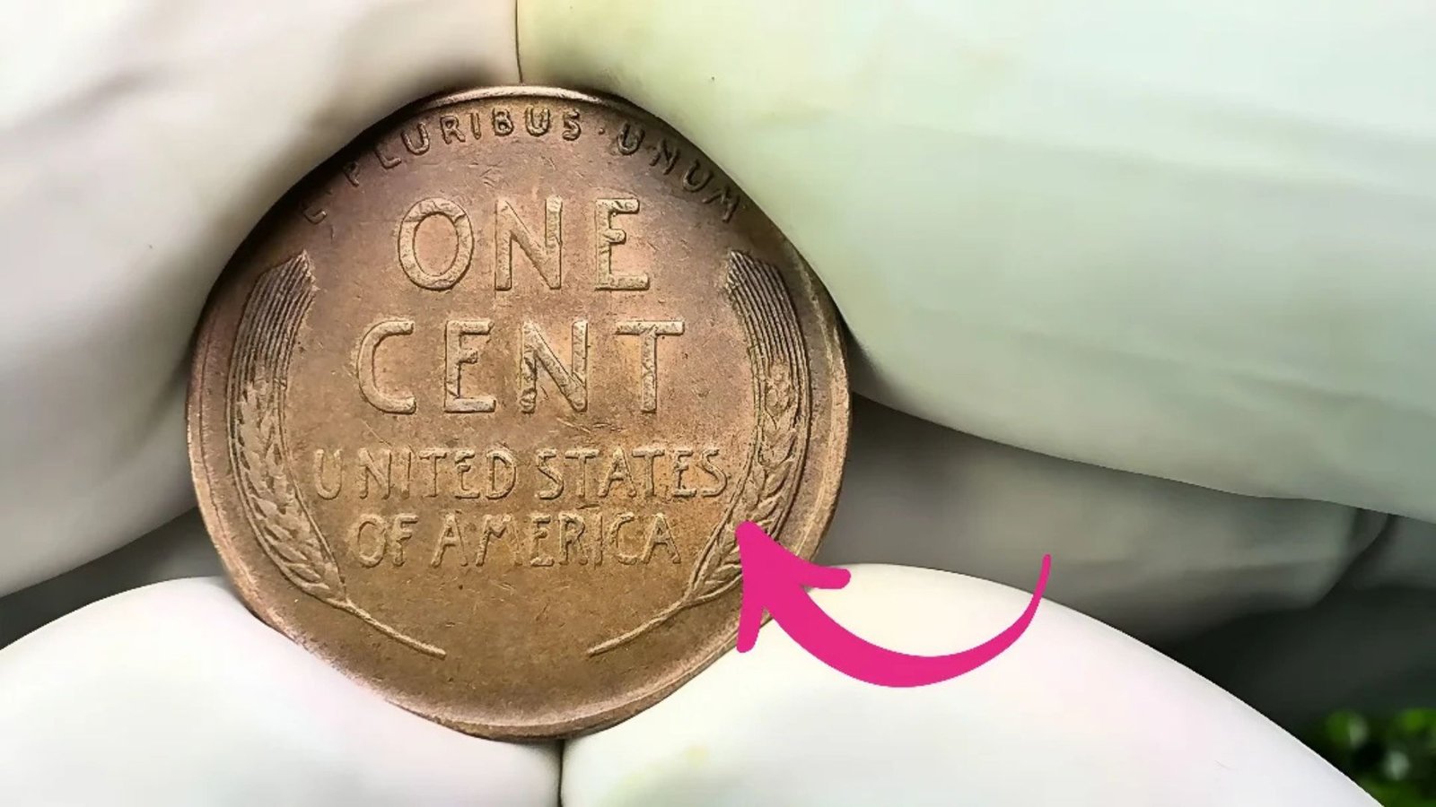 The Lincoln Wheat Penny Worth $1 Million